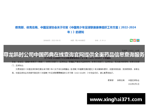 尊龙凯时公司中国药典在线查询官网提供全面药品信息查询服务 尊龙凯时公司中国药典在线查询官网提供全面药品信息查询服务