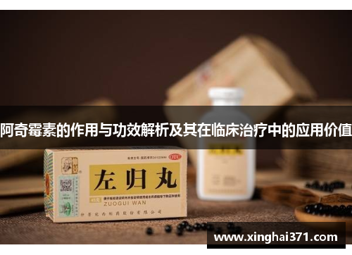 阿奇霉素的作用与功效解析及其在临床治疗中的应用价值 阿奇霉素的作用与功效解析及其在临床治疗中的应用价值
