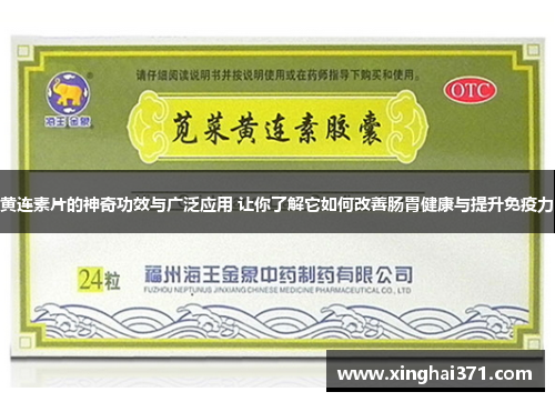黄连素片的神奇功效与广泛应用 让你了解它如何改善肠胃健康与提升免疫力 黄连素片的神奇功效与广泛应用 让你了解它如何改善肠胃健康与提升免疫力