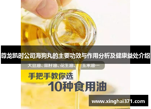 尊龙凯时公司海狗丸的主要功效与作用分析及健康益处介绍 尊龙凯时公司海狗丸的主要功效与作用分析及健康益处介绍