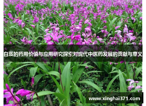 白芨的药用价值与应用研究探索对现代中医药发展的贡献与意义 白芨的药用价值与应用研究探索对现代中医药发展的贡献与意义